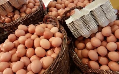 L&rsquo;importance de diversifier ses investissements